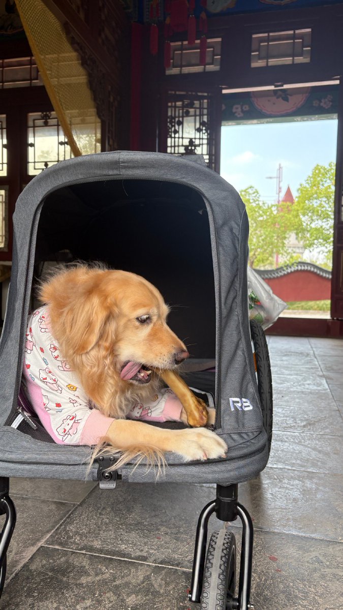 Maria Rodriguez tweet media