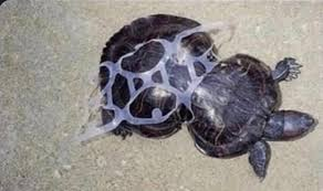 images_i_hate2 of orbittwt tweet media