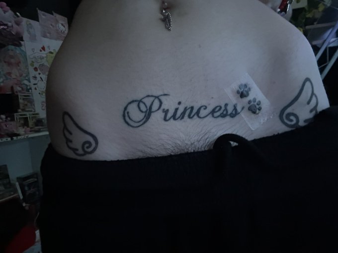 超爱夜拍的欣然 tweet media