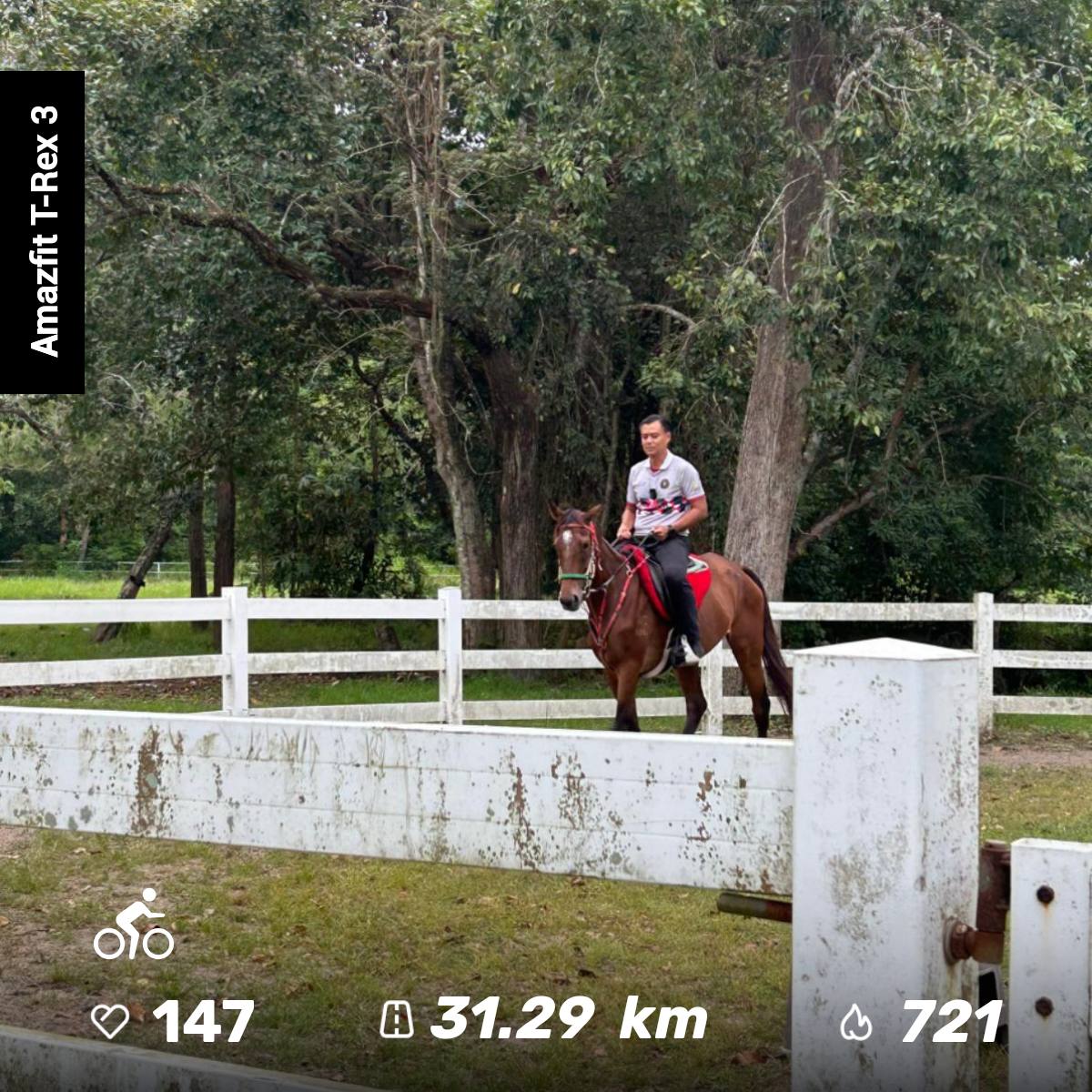 anbaah's tweet image. #trex3