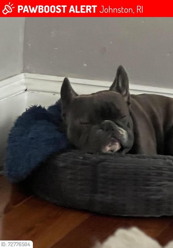 Christine J Arepaki tweet media