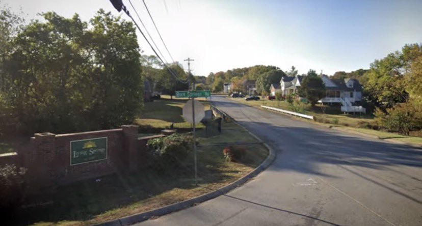 Southern Chestnut 🐣🐰 tweet media