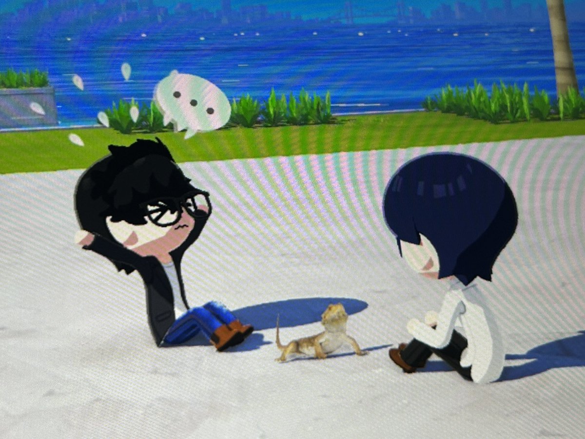 わさ🥝 tweet media