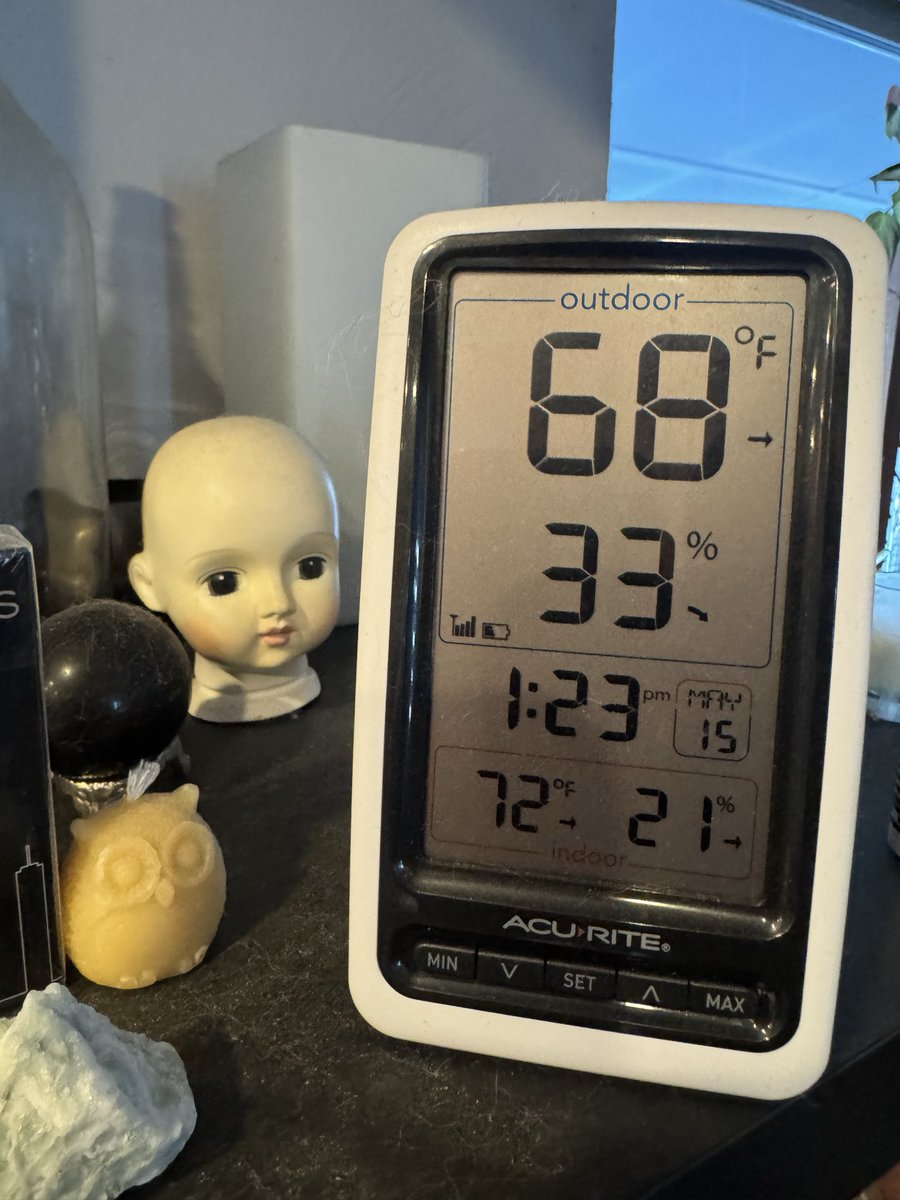 usorthem3's tweet image. OK winter if this is the last
you’re giving me 
let’s get it over with
#greenhouse #COspring