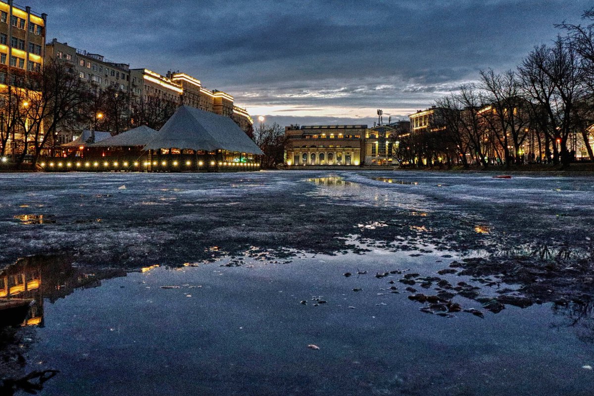 PEKHTography tweet media