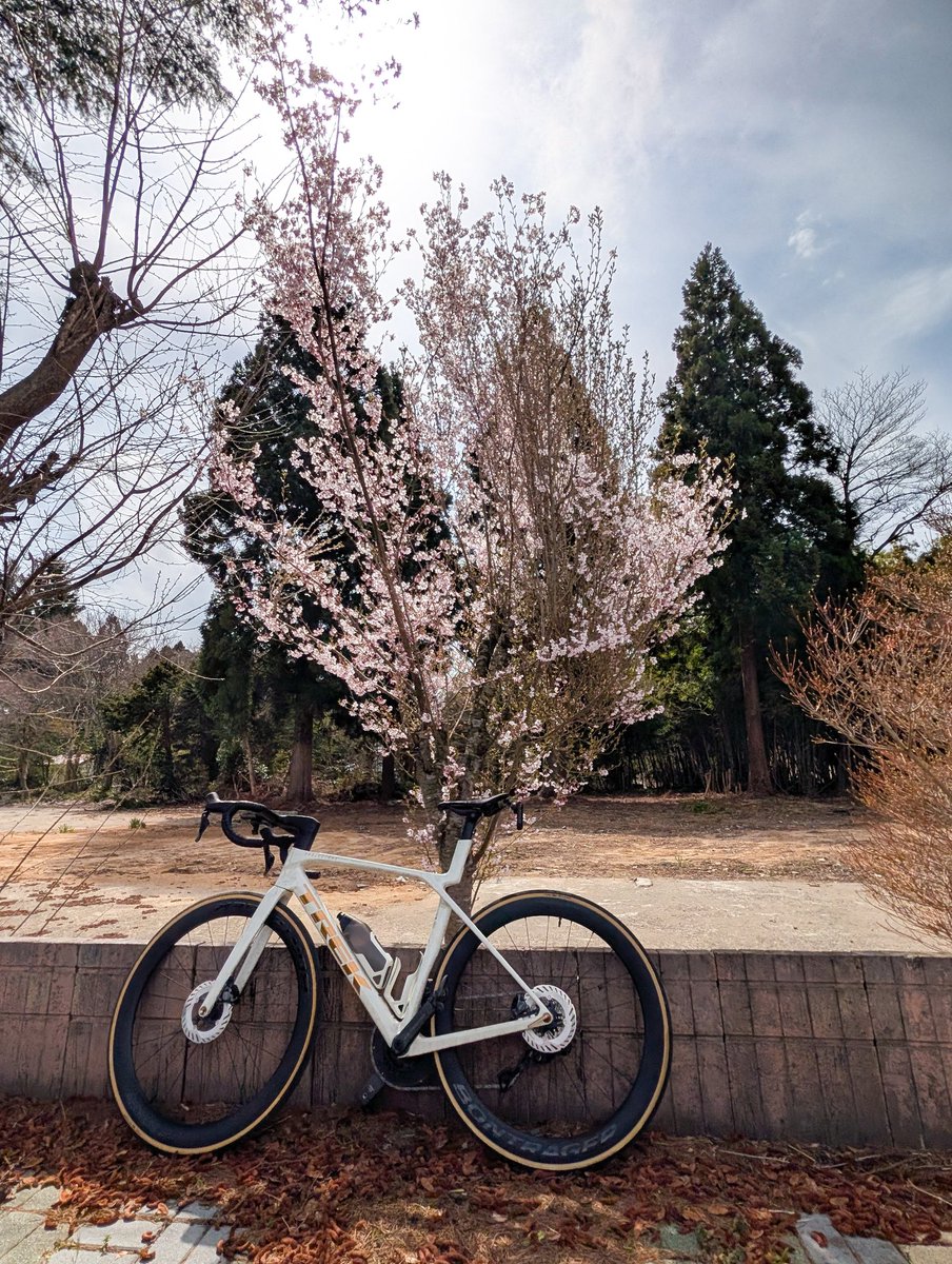 ポンコツ tweet media