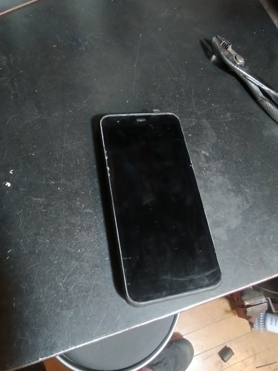 ニシム・ラディン tweet media