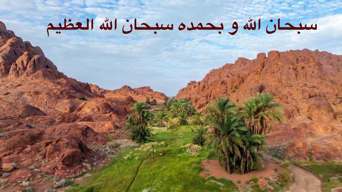 خالد رشيد الشدوخي tweet media