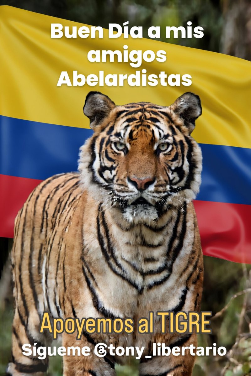 Tony Libertario 🇨🇴🗽 tweet media