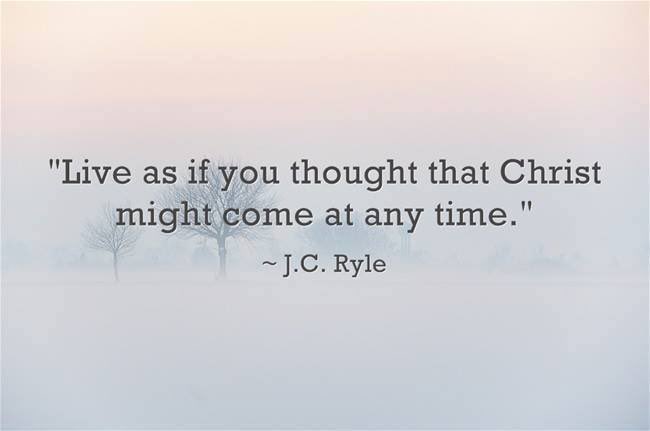 🕊️Grateful Heart🕊️ tweet media