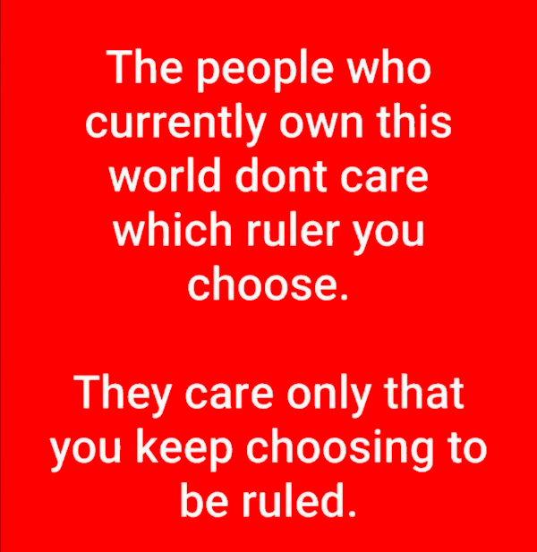 🇵🇸🏴‍☠️🌻TurboKitty🌻🏴‍☠️🇵🇸 tweet media