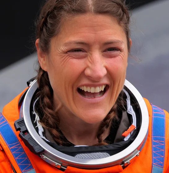 Mr. Whale tweet media