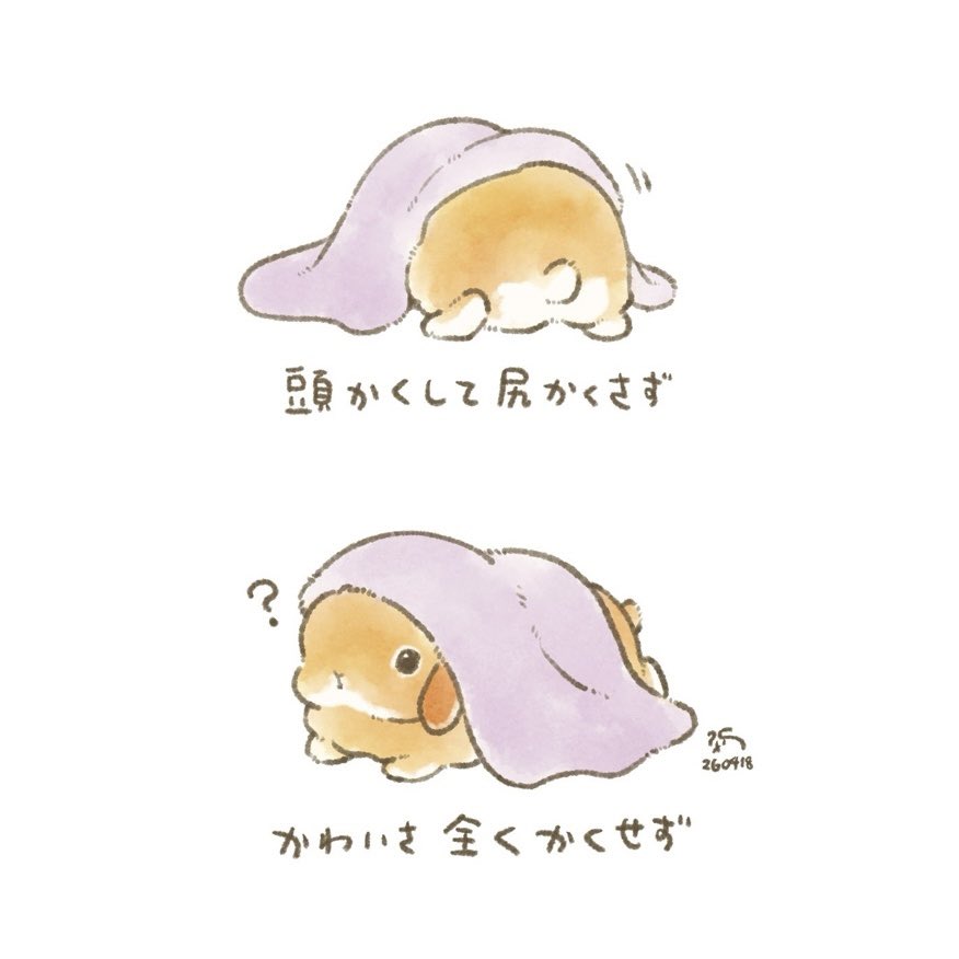 大賀一五🐰うさ本新刊5月発売！ tweet media