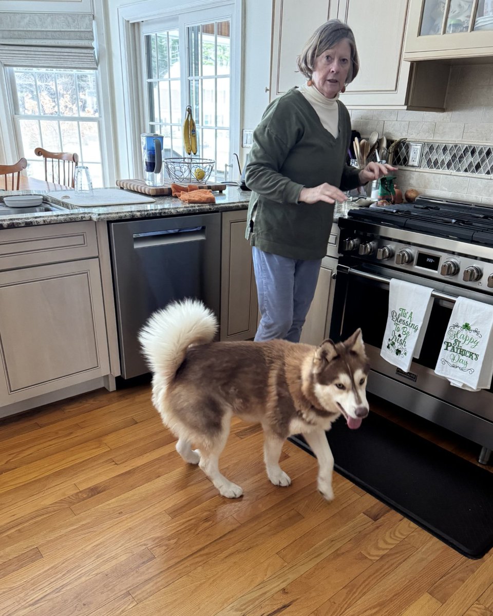 Pets Alive tweet media