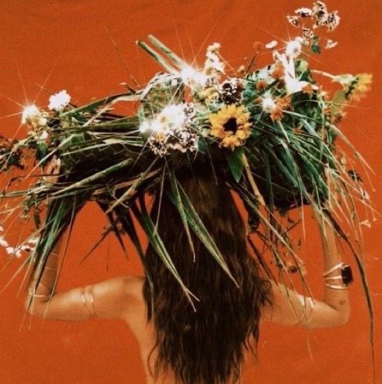 comentanitta | EQUILIBRIVM tweet media