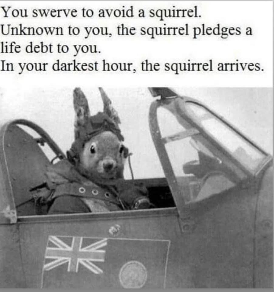 wkovacs111 tweet media