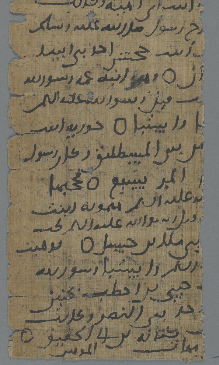 May Shaddel tweet media