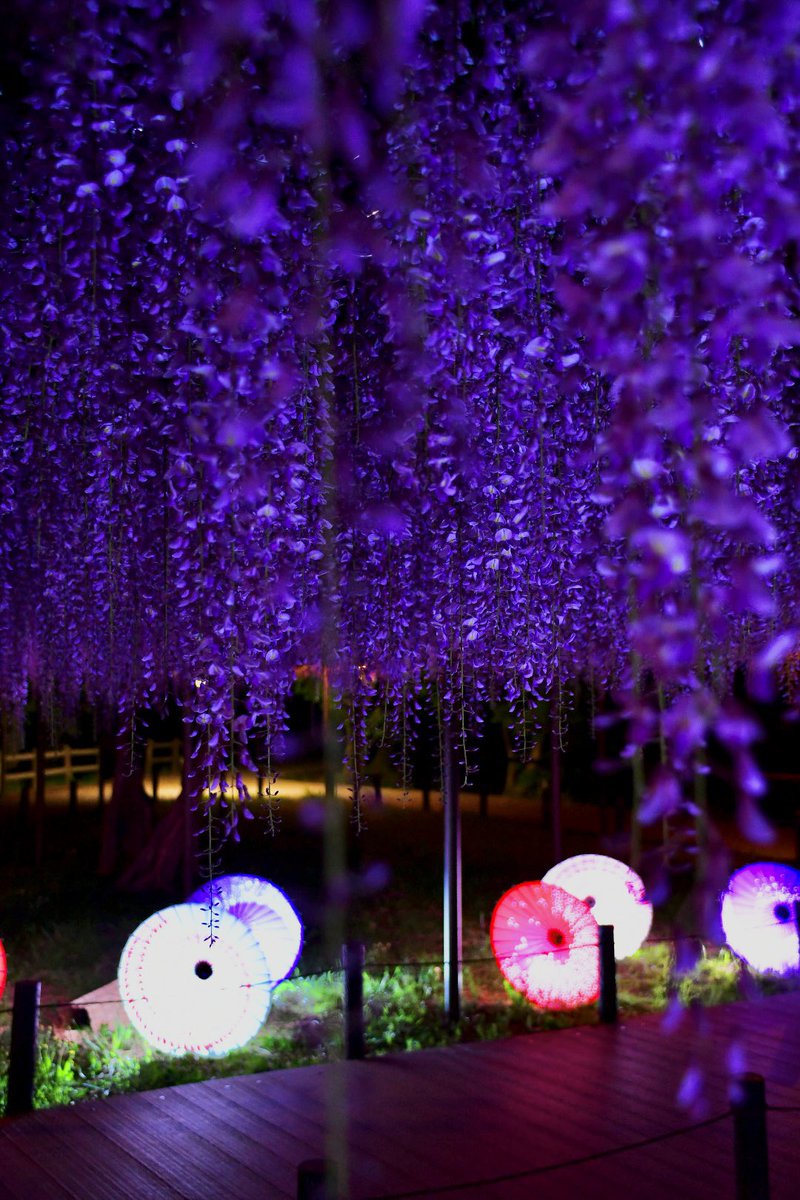 Shichiro tweet media