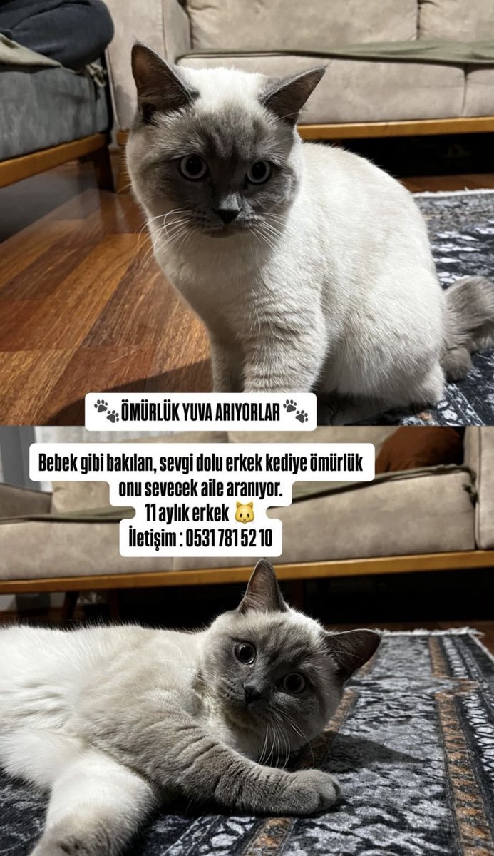 purgatory tweet media