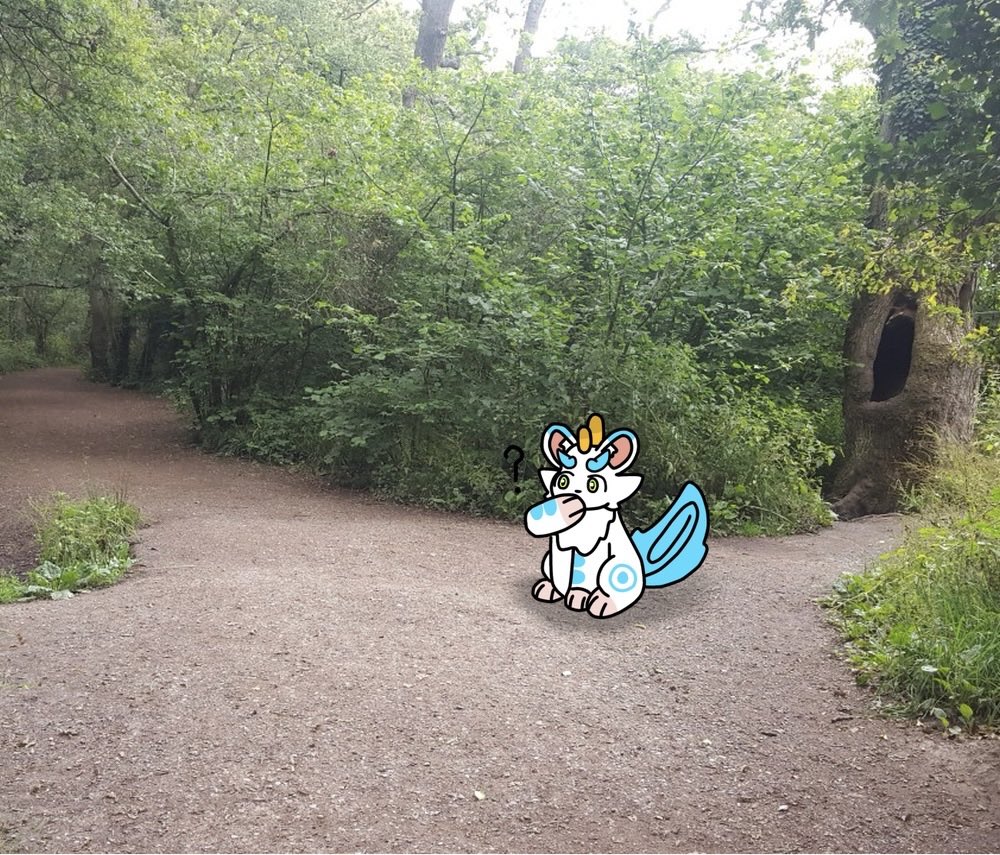 SoupGamerBoy tweet media