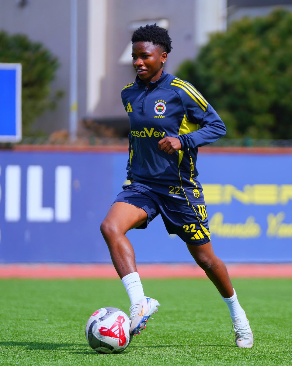 Fenerbahçe arsaVev tweet media