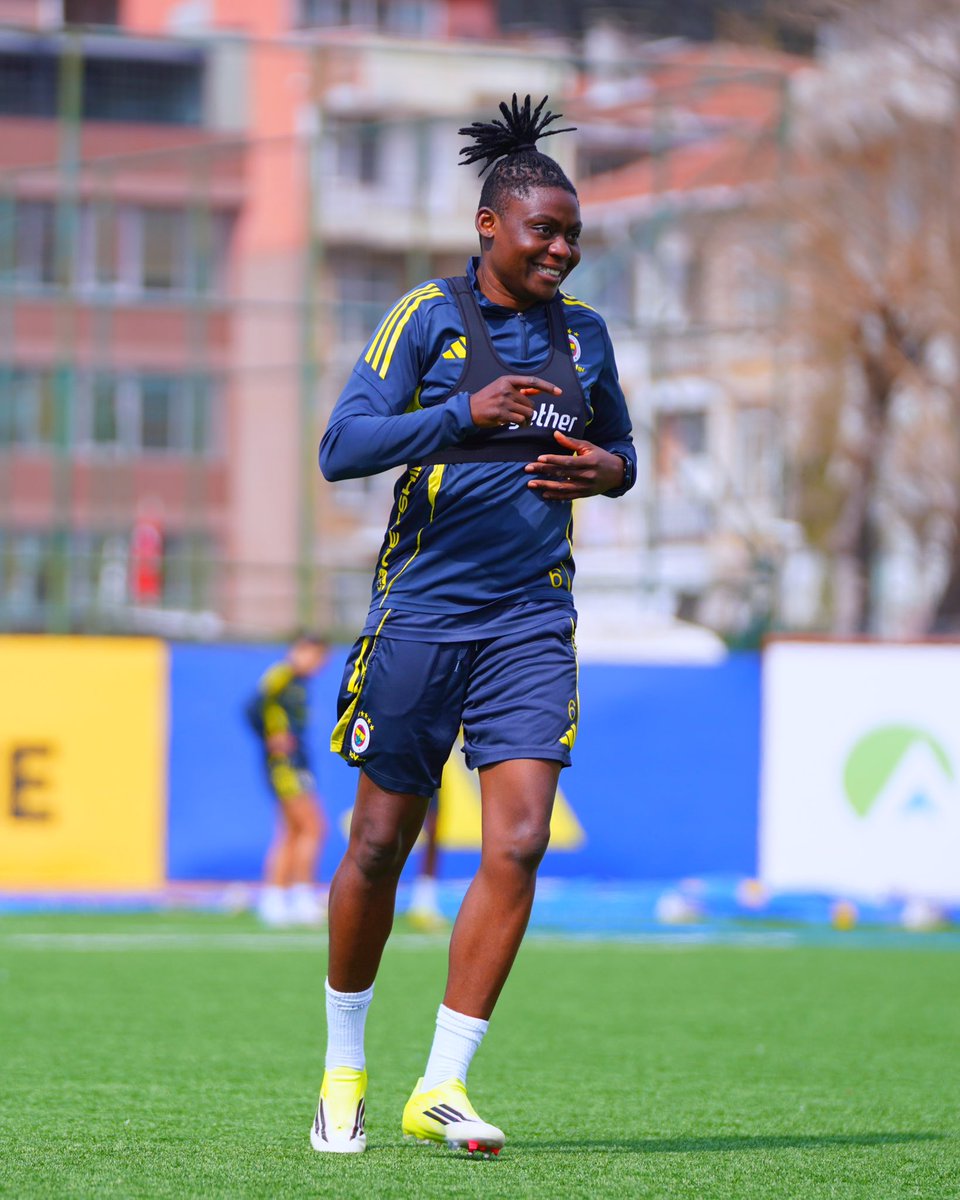 Fenerbahçe arsaVev tweet media