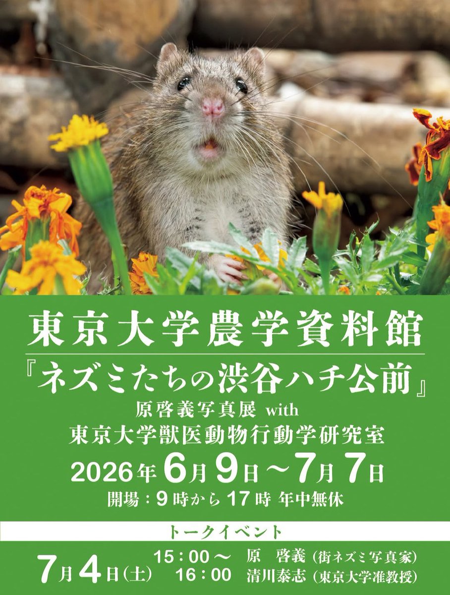 ネズミたちの渋谷ハチ公前
東京大学農学資料館
2026年6月9日〜7月7日