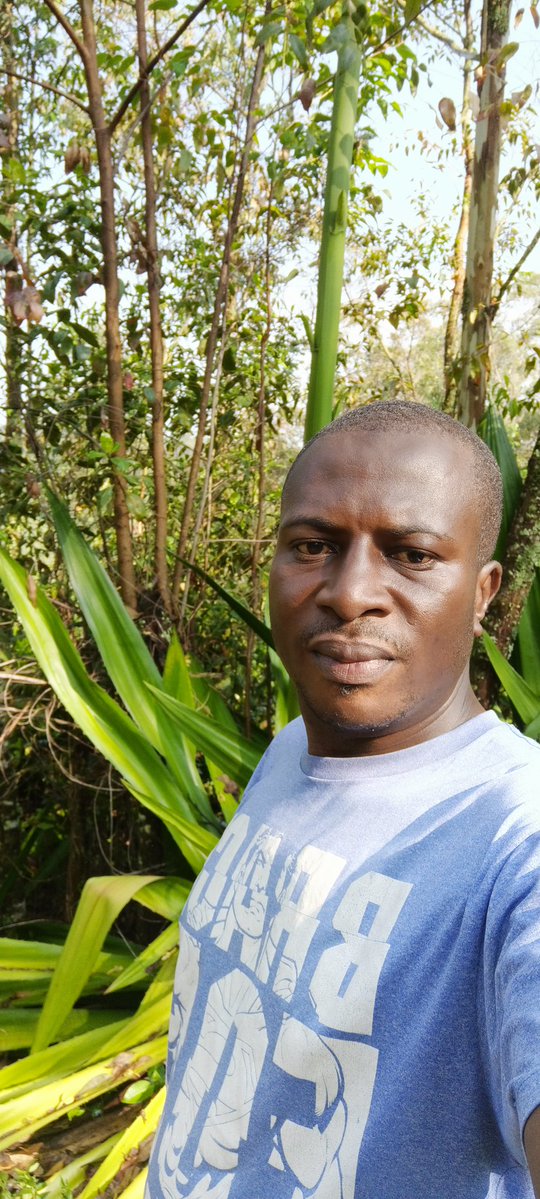 Tangwa Abilu.🌿🌏🌾🍀🍃.SDG's. tweet media