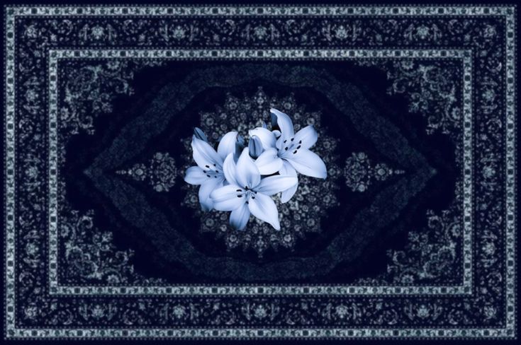 𝑂𝑟𝑎𝑐𝑙𝑒 𝑜𝑓 𝐷𝑒𝑙𝑓𝑜𝑠 tweet media