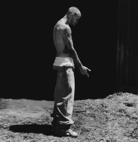 About Music tweet media