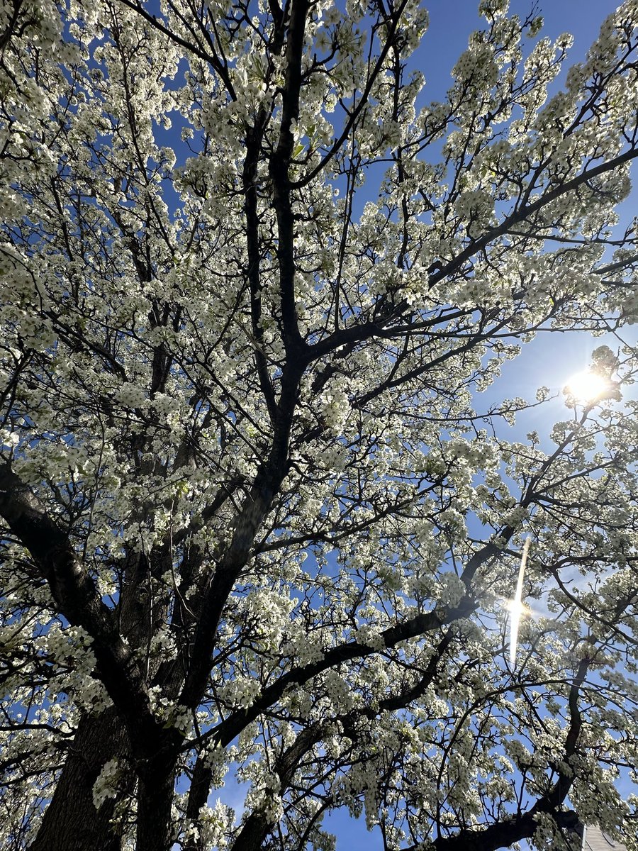 Beautiful day