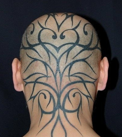 headhort tweet media