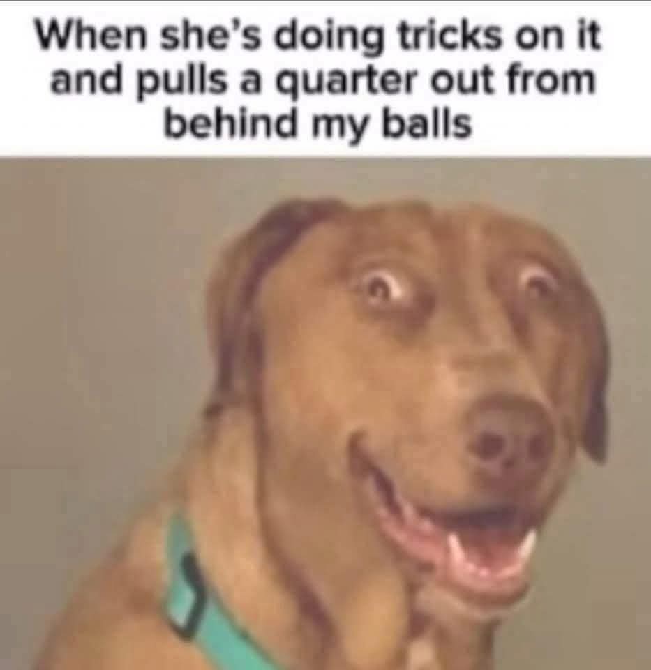 Marks33770Stroh's tweet image. #magic