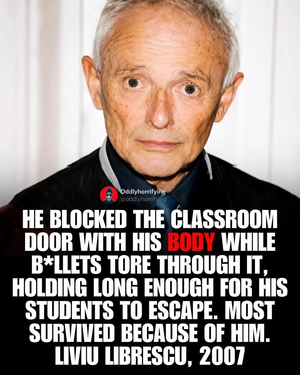 Wild Videos tweet media