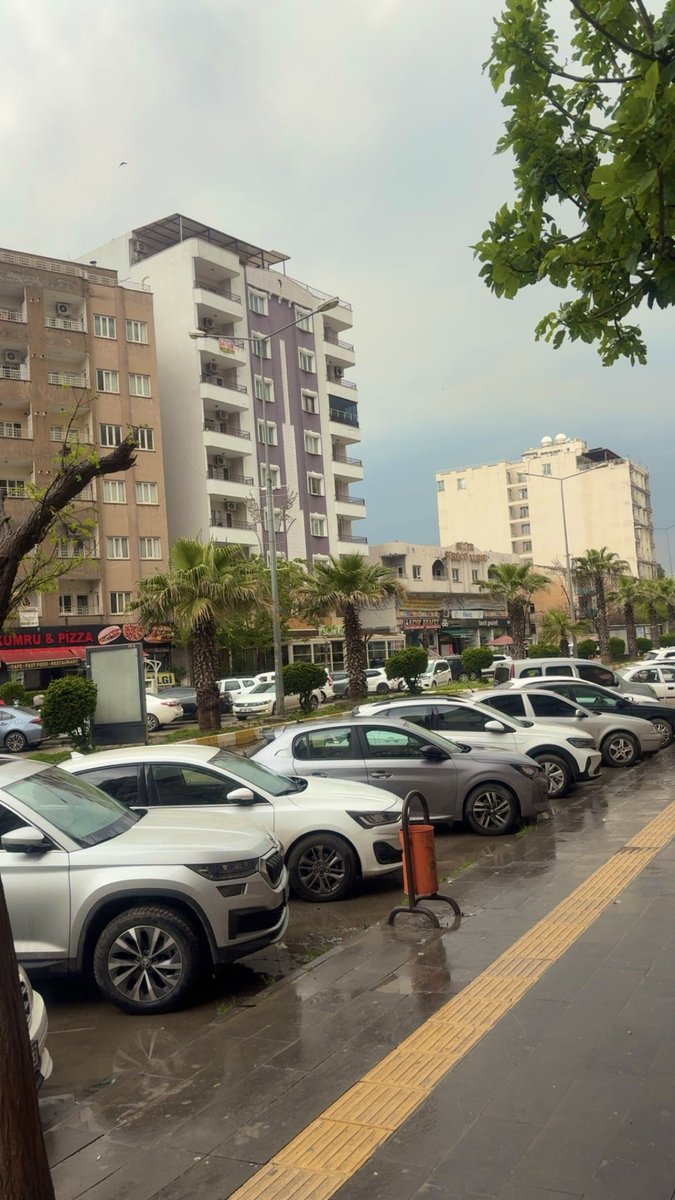 Özlem tweet media