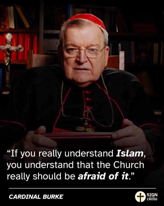 🇻🇦 Cardinal Burke : « Si vous comprenez vraiment l'islam, vous comprenez que l'Église devrait vraiment en avoir peur. »

🗣️ Êtes-vous d’accord avec lui ? 

A. OUI
B. NON