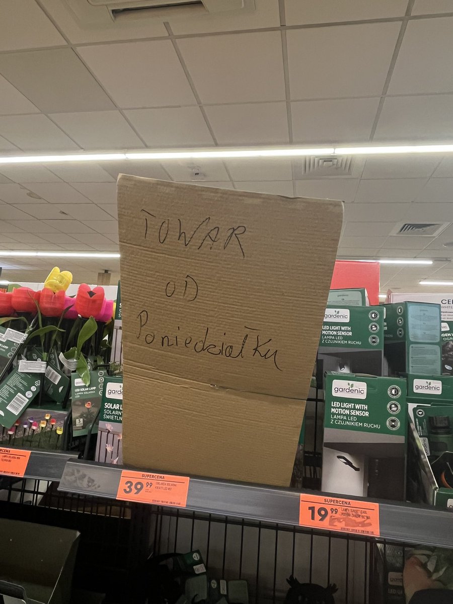 velina ✶/ tweet media