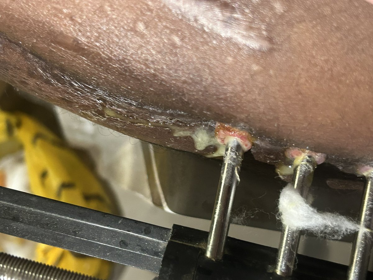 Bamimosu Mariam tweet media