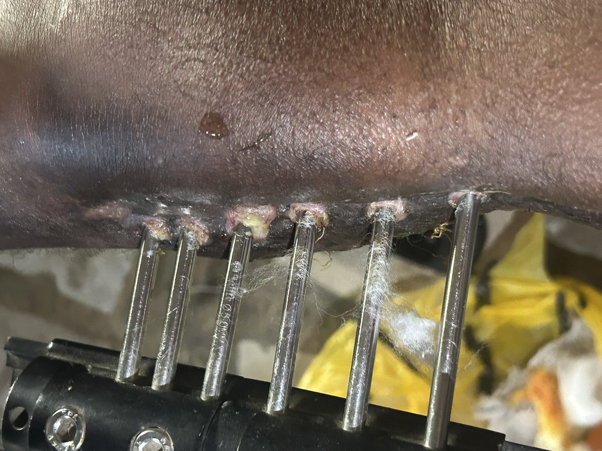 Bamimosu Mariam tweet media