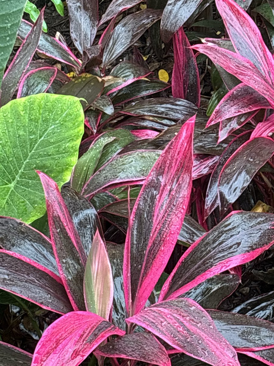 Fuck it all, Love Molly 💋 tweet media