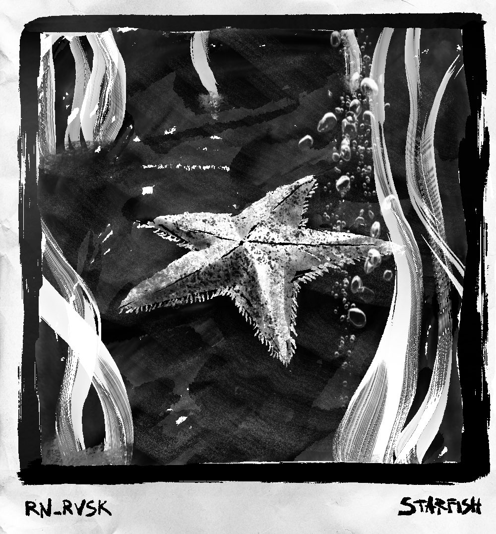 pigpowerrr's tweet image. Не стоит так же зацикливаться над тем, а не банальщину ли я рисую, ведь морскую звезду нарисовали уже сто раз. Похуй. Нарисуй в стопервый раз, кому какое дело вообще 
#rn_rvsk_art #inktober