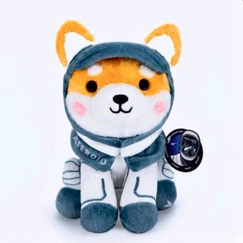 AsteroidFanClub tweet media