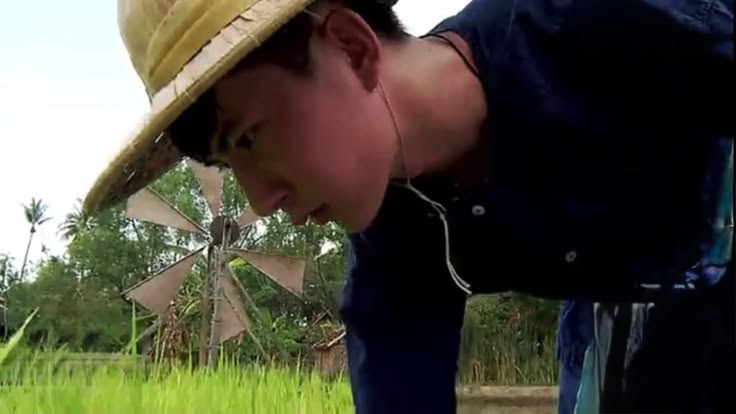 于蒙嚨柠檬军团🍋🐟 tweet media