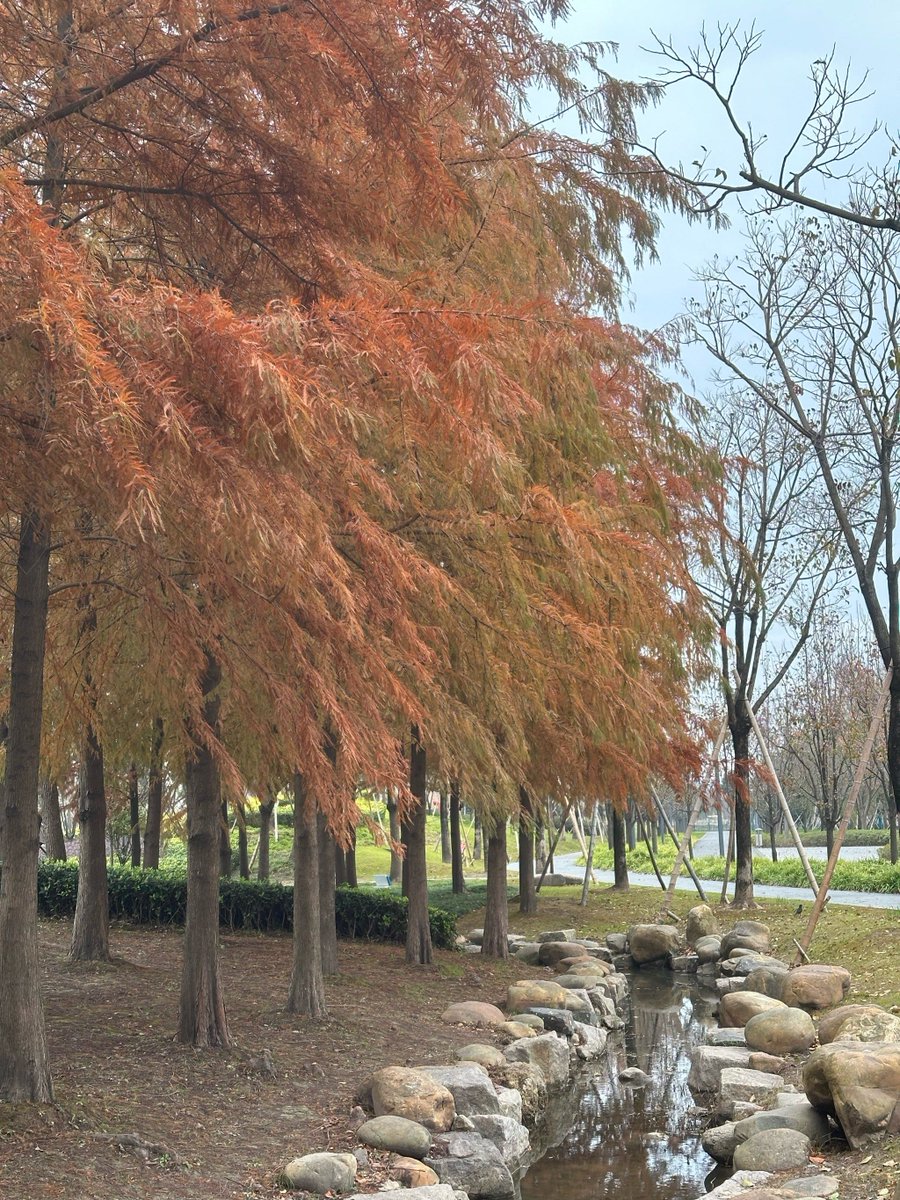 k-one-nmw tweet media