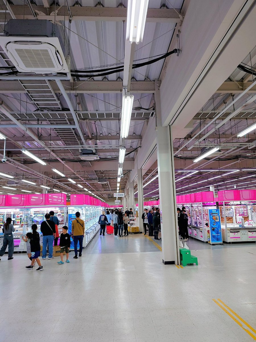 ネリたんたん。 tweet media