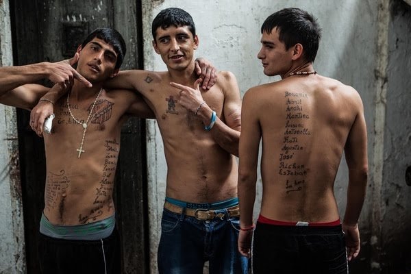 automatico tweet media