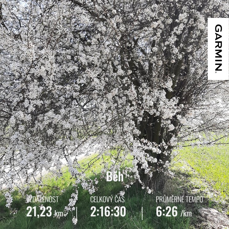 VraMarkov3's tweet image. ... 🏃‍♀️👟🌳🌲nahoru a dolů a k tomu cesta samý 🌸 květ 🙂🤣🙂 ... 
#saturdayrun 
#sobotnírun 
#sobotnípobíhání