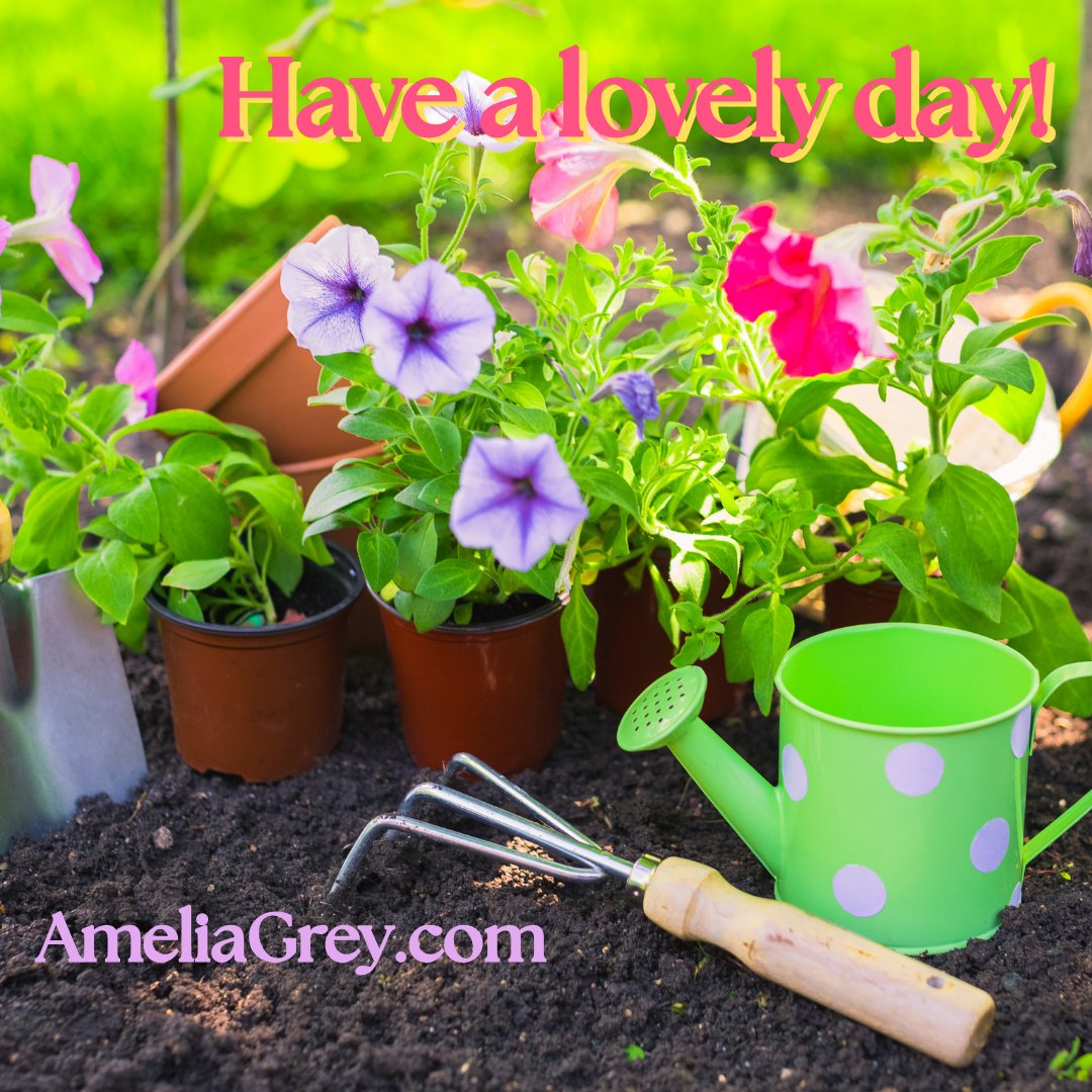 ameliagreyauthr's tweet photo. Wishing you all a lovely Saturday.

#Saturdayvibes #gardening #outdoors #springplants #amreading #AmeliaGreyBooks #SayIDoseries #RegencyRomances #YouhadmeatHEA https://t.co/bcA0WabKq0 https://t.co/cCtM0hhUpM