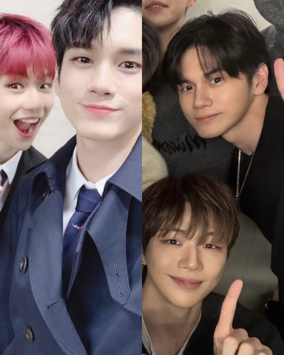 Chi ✨🦋(busy) tweet media