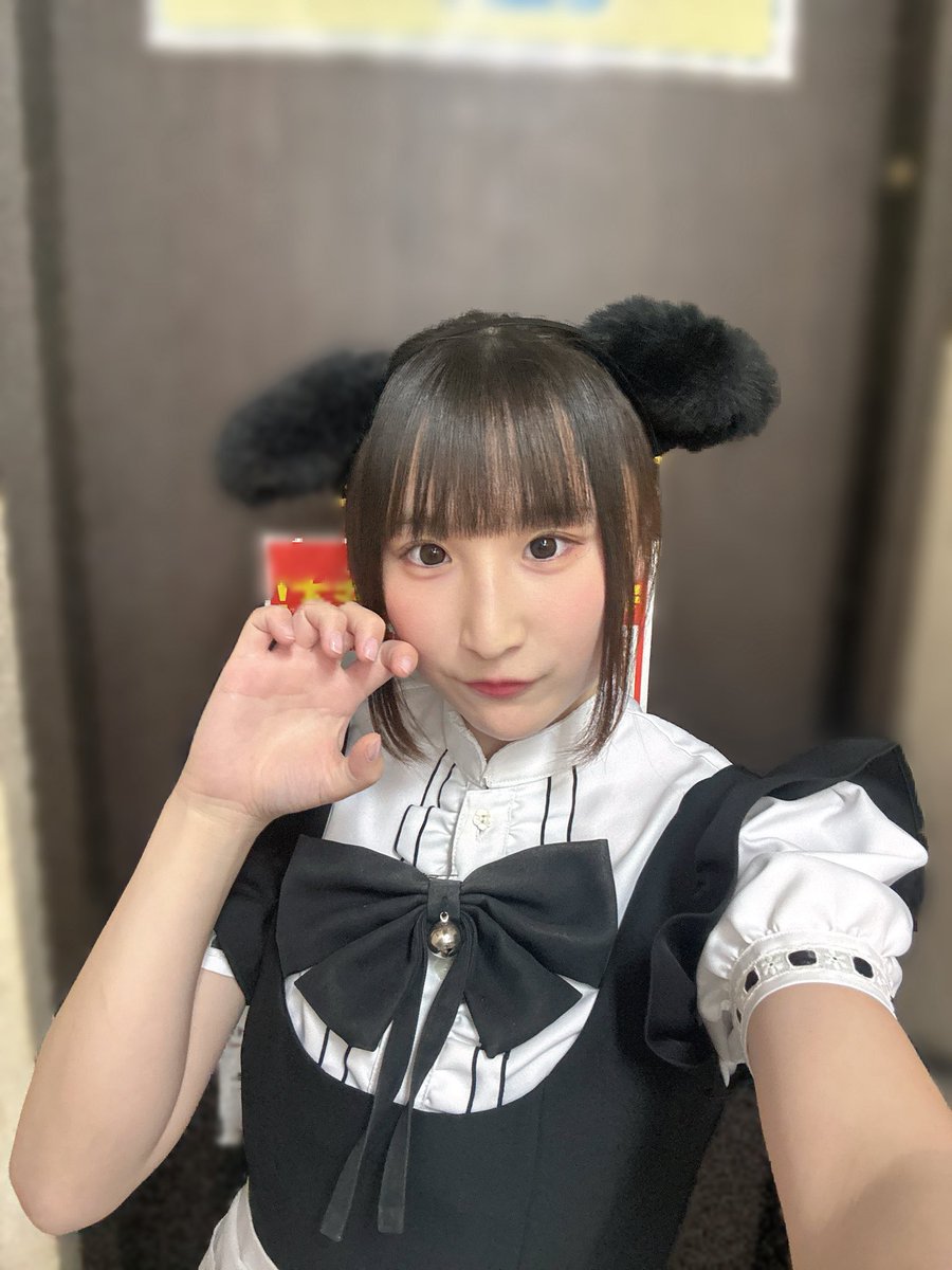 うい🐾 tweet media